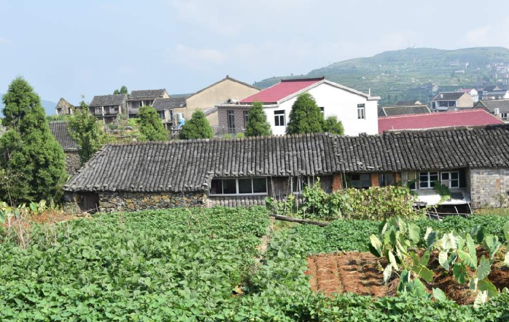 鄉(xiāng)村振興做農(nóng)旅必讀的10項(xiàng)國(guó)家基礎(chǔ)政策文件
